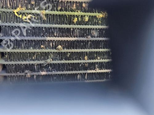 Used Water radiator AUDI A3 (8P1) [2003-2013]  29335318
