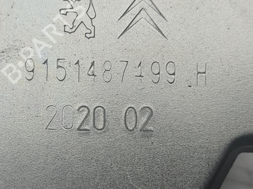 Tailgate lock PEUGEOT 2008 II (UD_, US_, UY_, UJ_, UR_, UC_) 1.5 BlueHDI 100 | BP18465202C101 