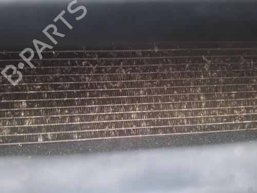 Used Water radiator RENAULT MEGANE III Hatchback (BZ0/1_, B3_) 1.6 16V (BZ1B, BZ1H) (110 hp) 31073827