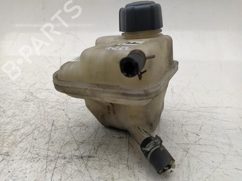 Expansion tank NISSAN QASHQAI / QASHQAI +2 I (J10, NJ10, JJ10E) 1.5 dCi | BP19105017C120 