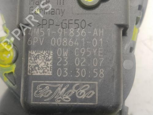 Pedal FORD FOCUS C-MAX (DM2)  | BP16462496I4 