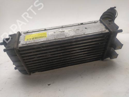 Intercooler CITROËN C4 II (NC_)  | BP10386925M30 