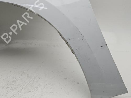 Left front fenders CITROËN C4 Picasso II  | BP27381893C41