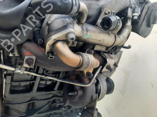 Engine SEAT IBIZA III (6L1)  | BP19068006M1 