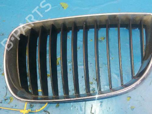 Used Grille BMW 1 (E87) 118 d (122 hp) 1333494