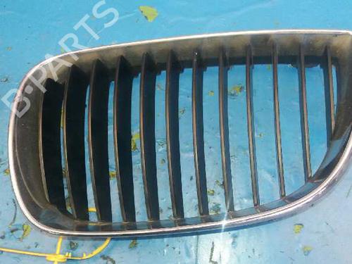 Grille BMW 1 (E87) 118 d (122 hp) 1333494