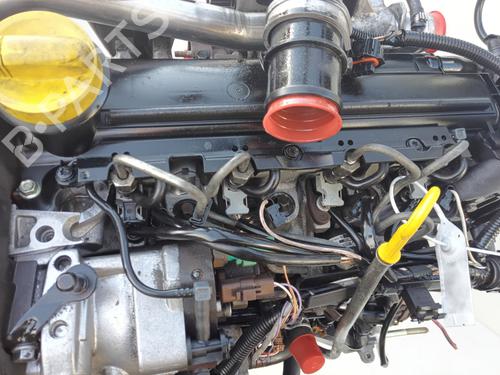 Engine RENAULT MEGANE II (BM0/1_, CM0/1_) 1.5 dCi (BM0F, BM0T, BM2B, CM0F, CM0T) | BP28590559M1 