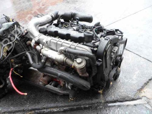 - Image 8