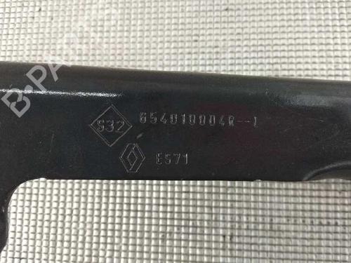 Hood lift support RENAULT SCÉNIC III (JZ0/1_)  | BP14065114C139 