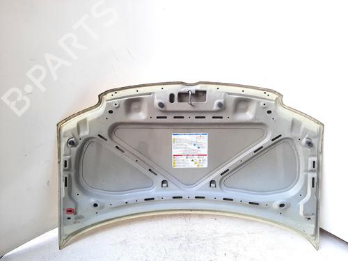 Hood FIAT PANDA (169_) 1.2 (169.AXB11, 169.AXB1A) | BP4392273C1 