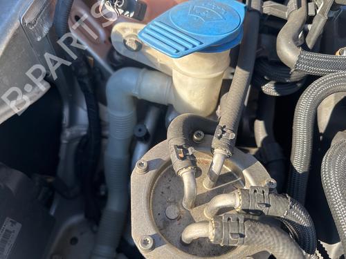 BP31177416C113 main image