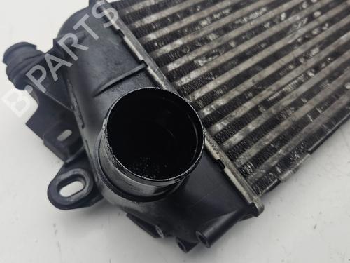 Intercooler NISSAN PRIMASTAR Van (X83) 2.0 dCi 90 | BP30000297M30 