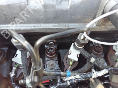 Engine FORD TRANSIT CONNECT (P65_, P70_, P80_) 1.8 TDCi | BP28107893M1 
