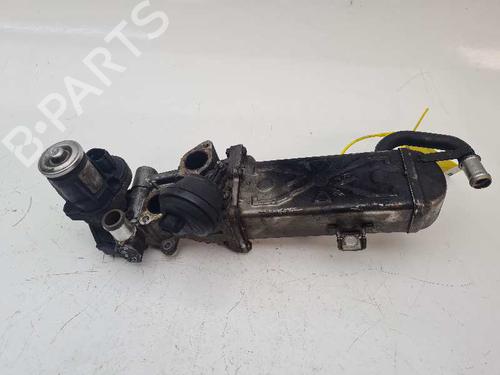 Egr VW GOLF VI (5K1)  | BP6463343M69 