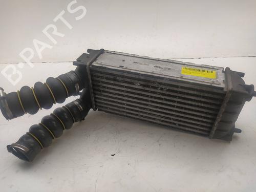 Intercooler CITROËN C4 II (NC_)  | BP10386925M30 