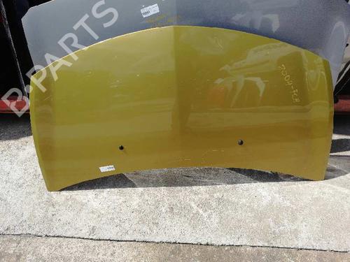 Hood RENAULT CLIO III (BR0/1, CR0/1) 1.5 dCi (BR17, CR17) | BP3348462C1 