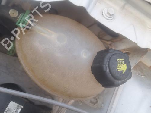 Ekpansionstank DACIA SANDERO II [2012-2026]  30175561