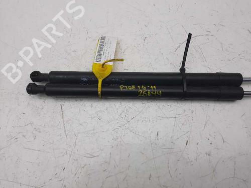 Tailgate lift support PEUGEOT 308 I (4A_, 4C_)  | BP14065314C138 