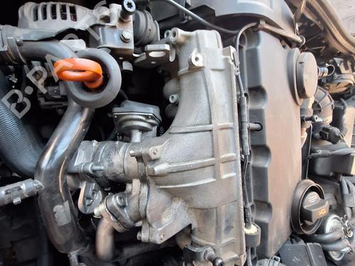 Engine AUDI A4 B7 (8EC) 2.0 TDI 16V | BP38169998M1 - Image 3