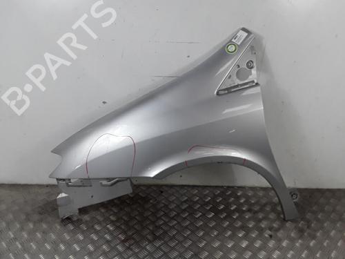 Forskærm venstre FIAT ULYSSE (179_) 2.0 JTD | BP30021201C41 