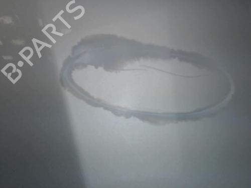 Hood RENAULT LAGUNA II (BG0/1_) 2.0 16V IDE (BG0N) | BP30022529C1