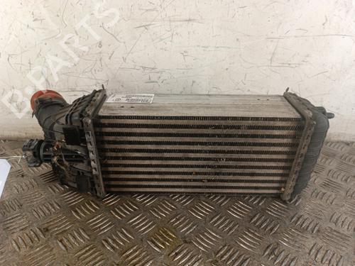 Intercooler PEUGEOT 208 I (CA_, CC_) 1.5 BlueHDI 100 | BP30022865M30 
