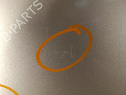 Tailgate RENAULT CLIO III (BR0/1, CR0/1) 1.5 dCi (BR17, CR17) | BP30023053C6 