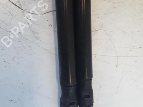 Tailgate lift support CITROËN DS4 (NX_) 1.6 HDi 115 | BP30022113C138 