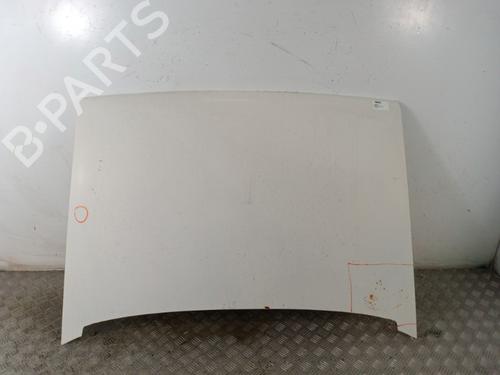 Used Hood RENAULT RAPID Box Body/MPV (F40_, G40_) 1.1 (48 hp) 30018632