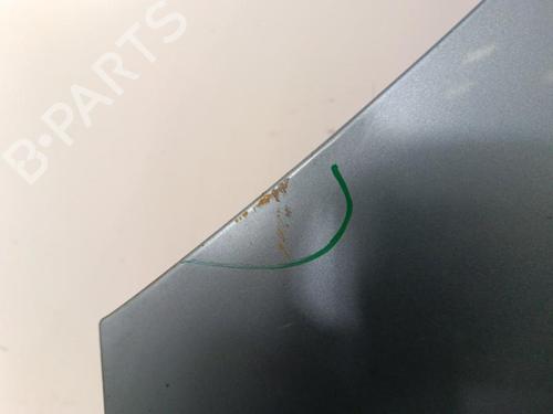 Capot FORD FUSION (JU_) 1.4 TDCi | BP30009524C1 