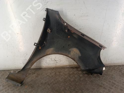 Left front fenders RENAULT KANGOO / GRAND KANGOO II (KW0/1_) 1.5 dCi 90 (KW05, KW08, KW0G, KW11) | BP30008175C41 