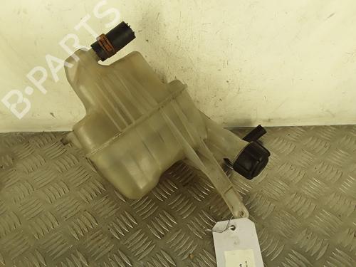 Expansion tank RENAULT VEL SATIS (BJ0_) 3.5 V6 (BJ0R, BJ0V, BJ0U) | BP30080401C120