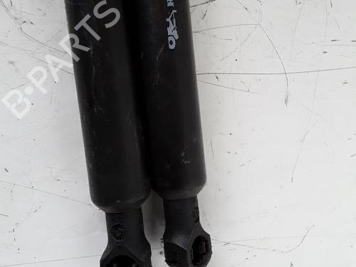 Tailgate lift support RENAULT MODUS / GRAND MODUS (F/JP0_) 1.2 (JP0C, JP0K, FP0C, FP0K, FP0P, JP0P, JP0T) | BP30022082C138 