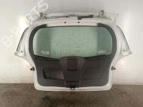 Tailgate RENAULT CLIO III (BR0/1, CR0/1) 1.5 dCi (C/BR0G, C/BR1G) | BP30174192C6