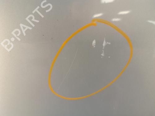 Left front door RENAULT SCÉNIC II (JM0/1_) 1.9 dCi (JM0G, JM12, JM1G, JM2C) | BP30007686C2