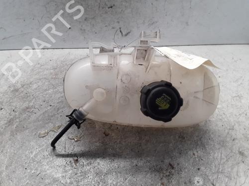 Used Expansion tank RENAULT TRAFIC III Van (FG_) 1.6 dCi 125 (FGMH) (125 hp) 30009181