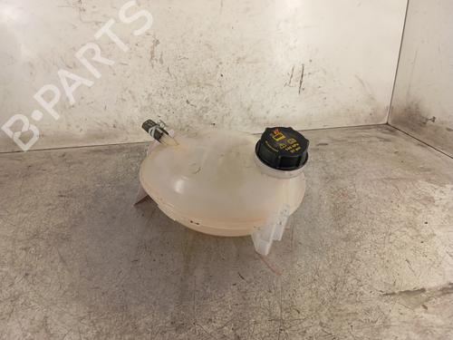 Used Expansion tank FORD FIESTA VII (HJ, HF) 1.0 EcoBoost (95 hp) 30014354