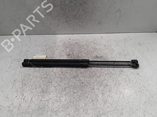 Tailgate lift support NISSAN MICRA III (K12) 1.2 16V | BP30011131C138 