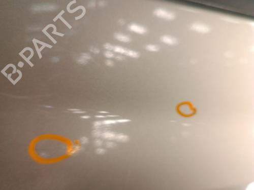 Right front door RENAULT CLIO III Grandtour (KR0/1_) 1.5 dCi (KR0G) | BP30017234C3