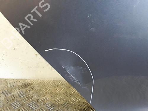 Right rear door RENAULT MEGANE III Hatchback (BZ0/1_, B3_) 1.5 dCi (BZ09, BZ0D, BZ1W, BZ29, BZ14) | BP30022017C5