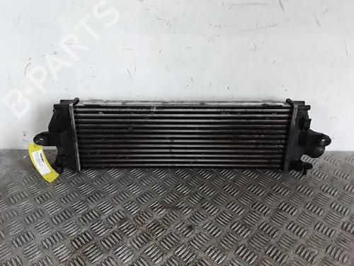 Used Intercooler Intercooler RENAULT TRAFIC II Bus (JL) 2.0 dCi 90 (JL00, JL01, JL0H, JL0M, JL0P, JL0S) (90 hp) 30027057 30027057