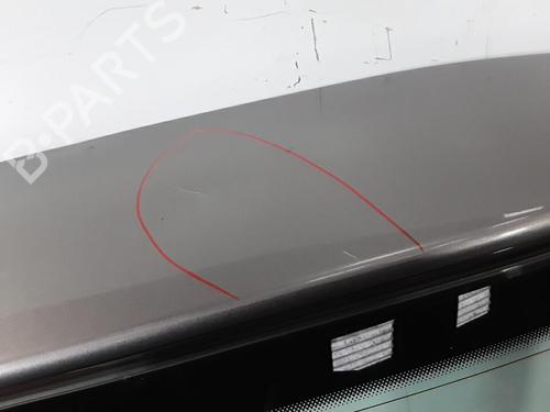 Bakluke CC/Kombi-Kupé SKODA FABIA II Combi (545) 1.9 TDI (105 hp) 30011277