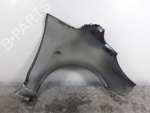 Left front fenders PEUGEOT 1007 (KM_) 1.4 HDi | BP30018331C41