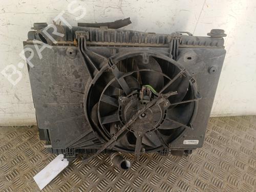 Used Water radiator Water radiator FORD FIESTA VI (CB1, CCN) 1.25 (82 hp) 30025202 30025202