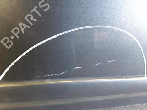 Drzwi przednie lewe FORD FOCUS C-MAX (DM2) 2.0 TDCi | BP30021838C2