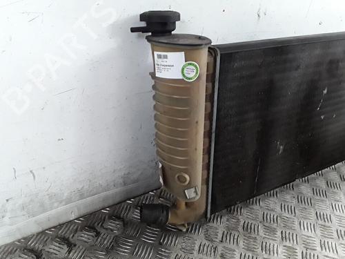 Used Expansion tank PEUGEOT 406 (8B) 1.8 16V (110 hp) 30015579