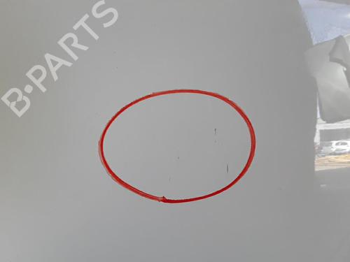 Hood CITROËN C3 Picasso (SH_) 1.6 HDI 90 | BP30021675C1 