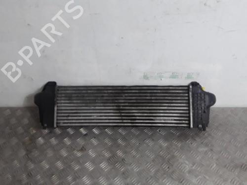 Intercooler IVECO DAILY VI Platform/Chassis 35S18, 35C18, 40C18, 45C18, 50C18, 60C18, 65C18, 70C18 | BP30024720M30