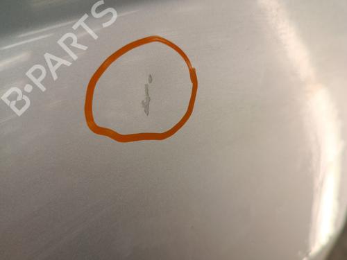 Left front door OPEL MERIVA B MPV (S10) 1.7 CDTI (75) | BP30025347C2