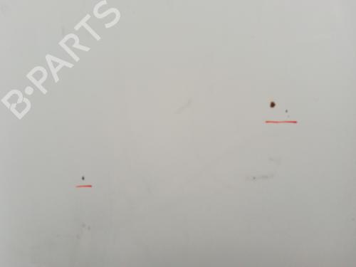 Hood FIAT DOBLO Cargo (263_) 1.3 D Multijet | BP30008650C1